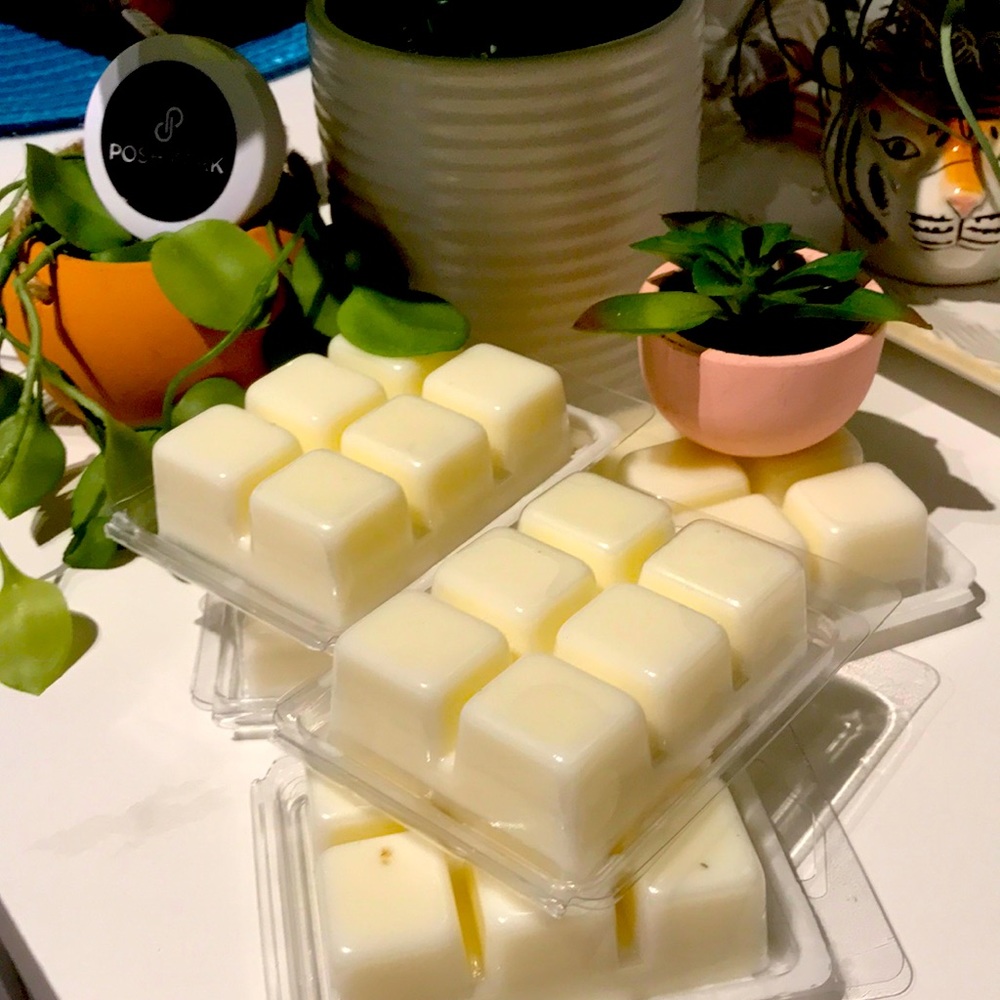Scents Wax Melts Beach Sand Vibe Salted Seas Hand Crafted Final Sale